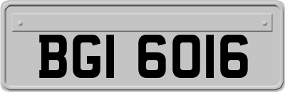 BGI6016