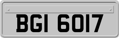 BGI6017