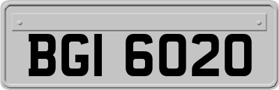 BGI6020