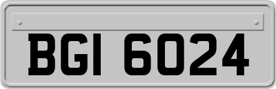 BGI6024