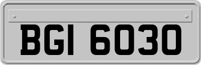 BGI6030