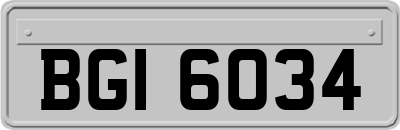 BGI6034