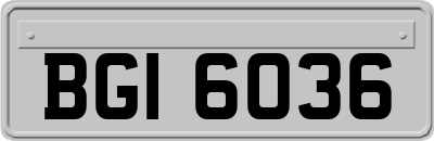 BGI6036