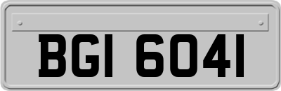 BGI6041