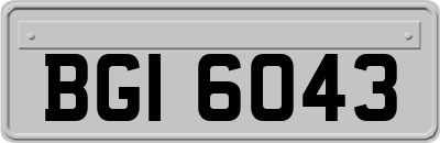 BGI6043