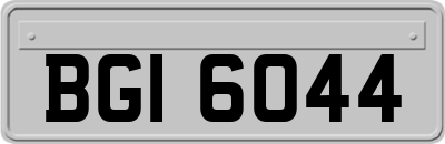 BGI6044