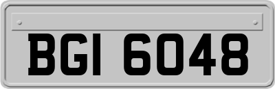 BGI6048