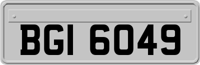 BGI6049