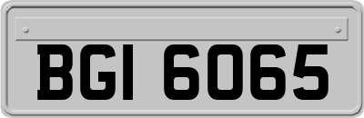 BGI6065