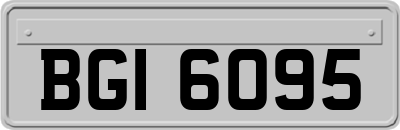 BGI6095