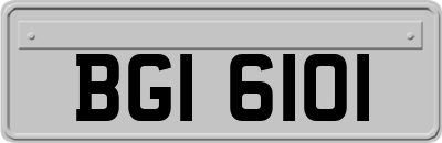 BGI6101