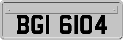 BGI6104