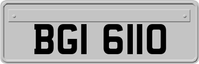 BGI6110