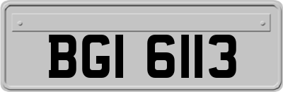 BGI6113