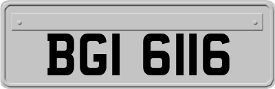 BGI6116