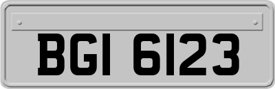 BGI6123