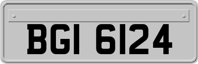 BGI6124