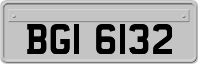 BGI6132