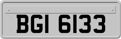 BGI6133