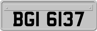 BGI6137