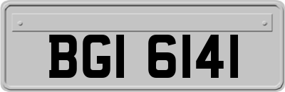 BGI6141