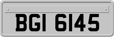 BGI6145