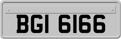 BGI6166