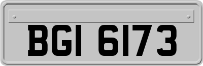 BGI6173