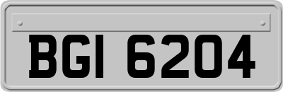 BGI6204