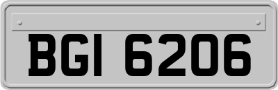 BGI6206