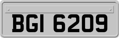 BGI6209
