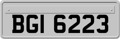 BGI6223