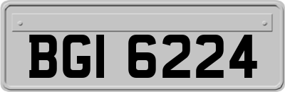 BGI6224