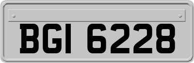 BGI6228