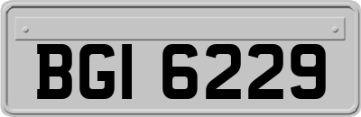 BGI6229