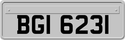 BGI6231
