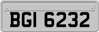 BGI6232