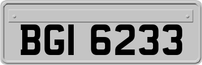 BGI6233