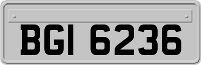 BGI6236