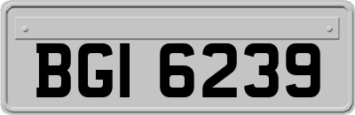 BGI6239