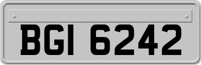 BGI6242