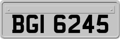 BGI6245