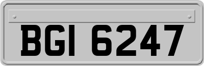 BGI6247