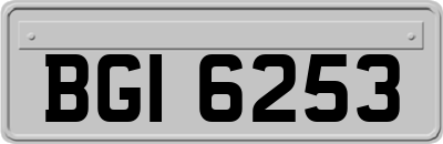 BGI6253