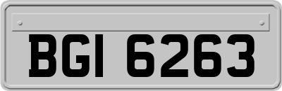 BGI6263
