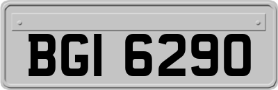 BGI6290