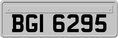 BGI6295