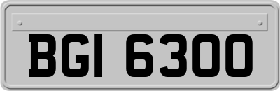 BGI6300