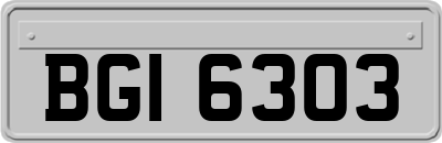 BGI6303