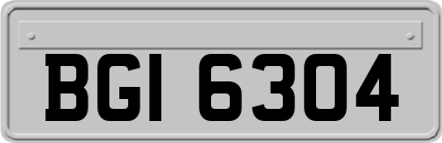 BGI6304
